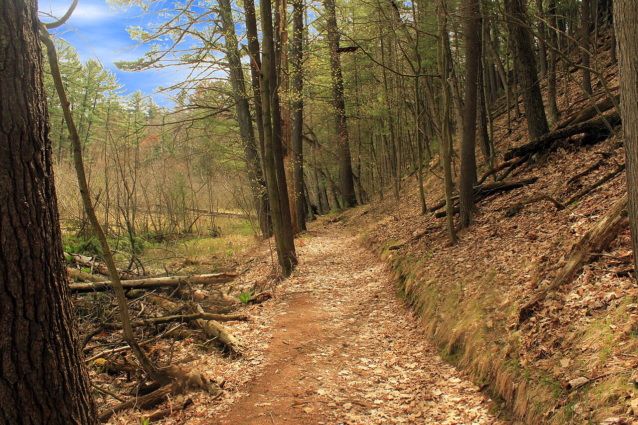 Rocky Arbor State Park