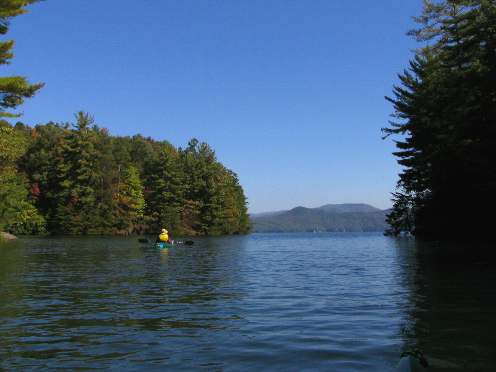 Wikimedia Commons