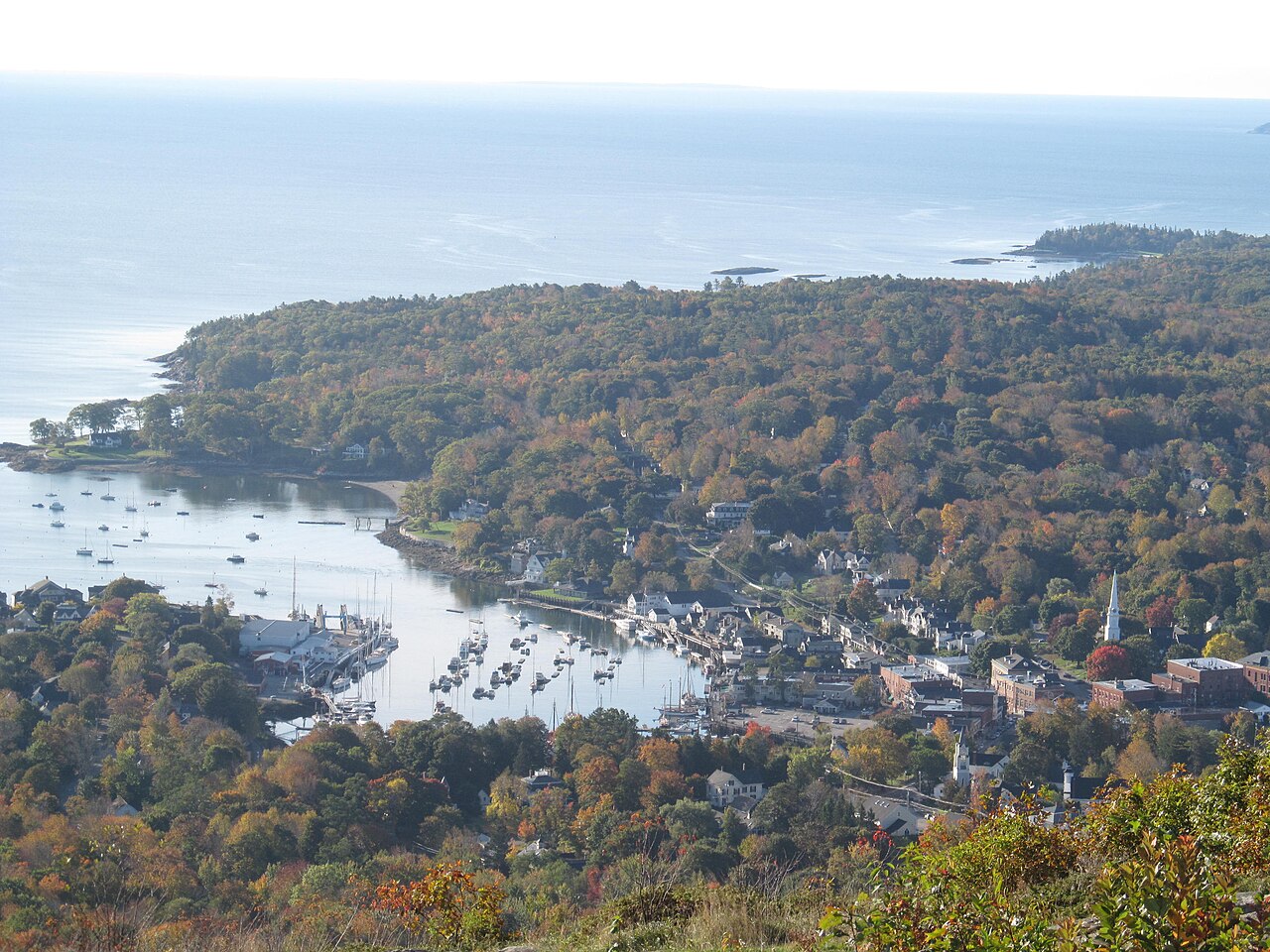 Wikimedia Commons