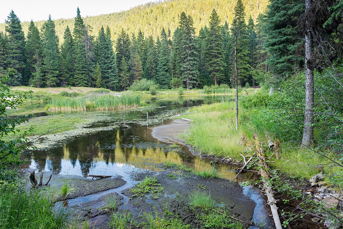 Trout Farm Campground
