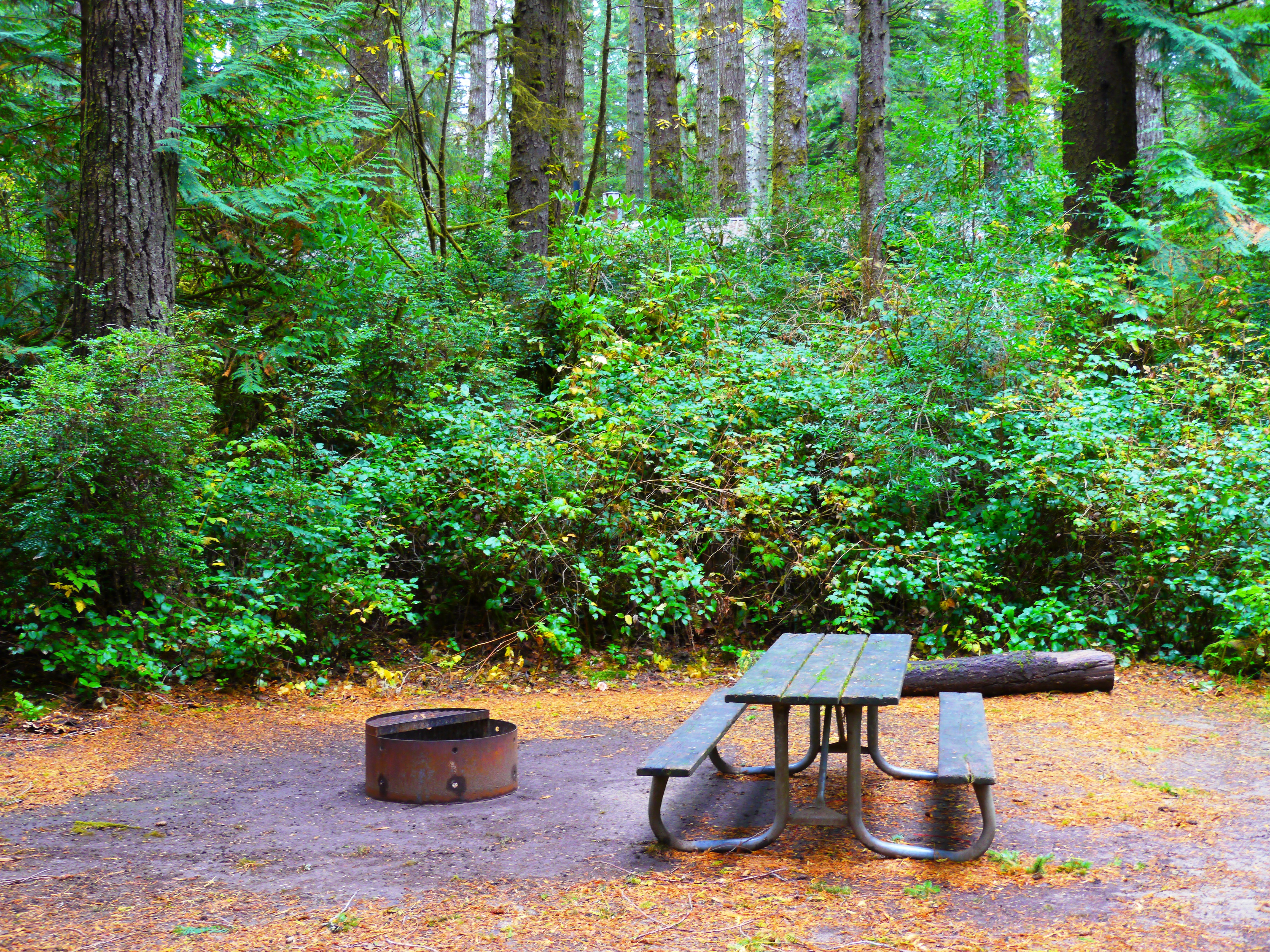 Jessie M. Honeyman Memorial State Park