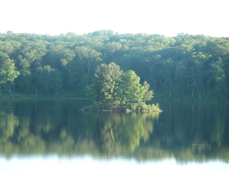 Wikimedia Commons