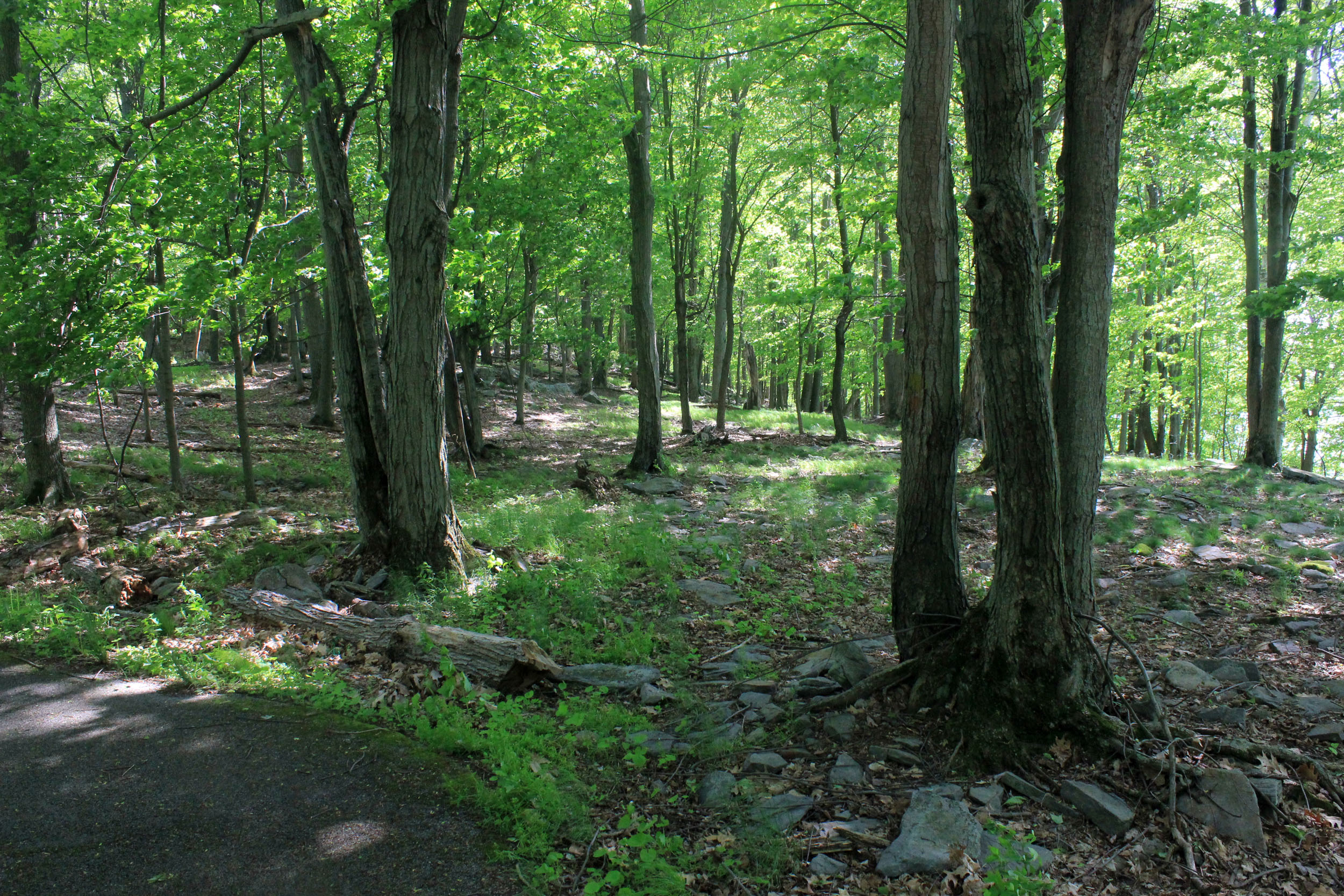 Wellesley Island State Park