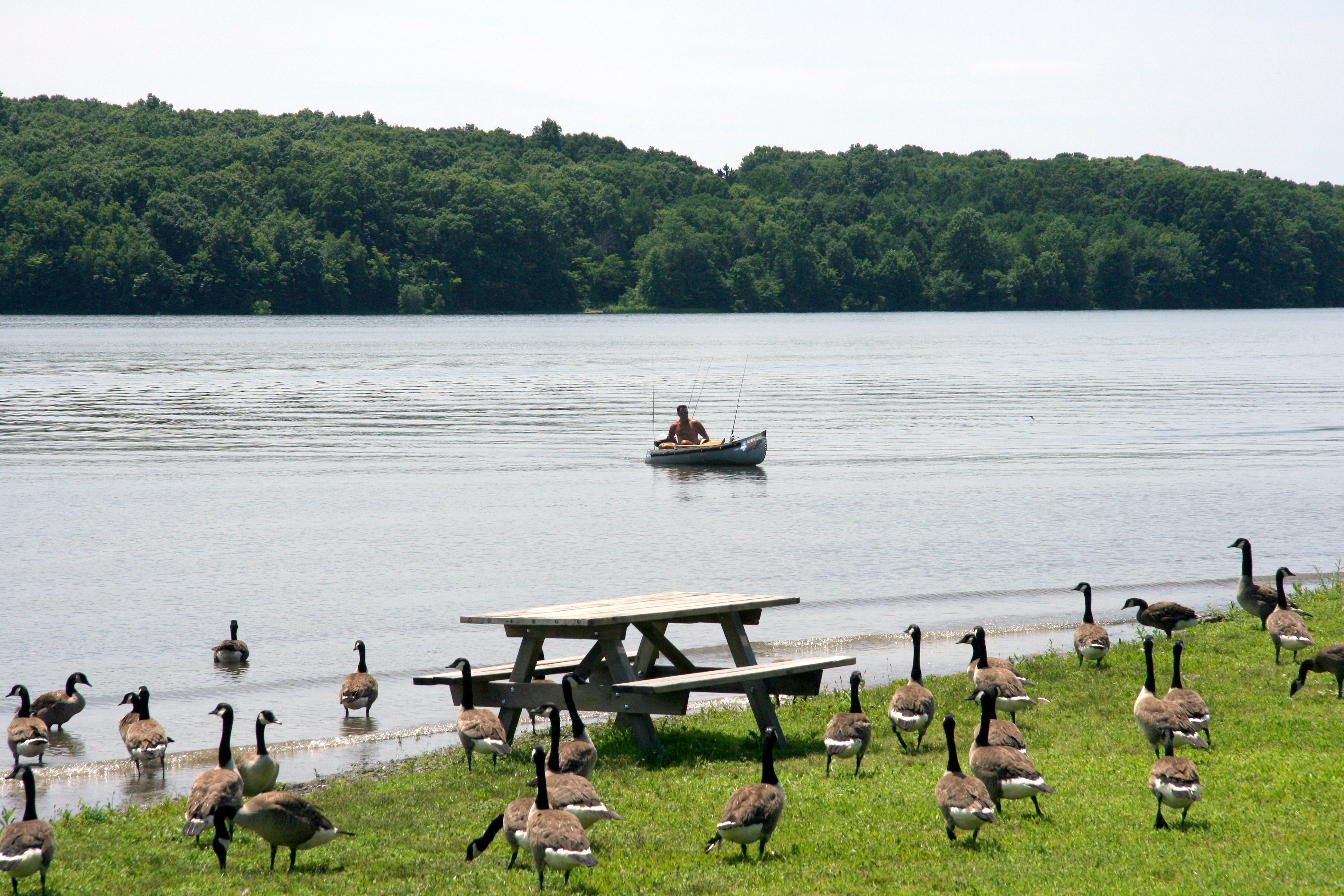 Nockamixon State Park