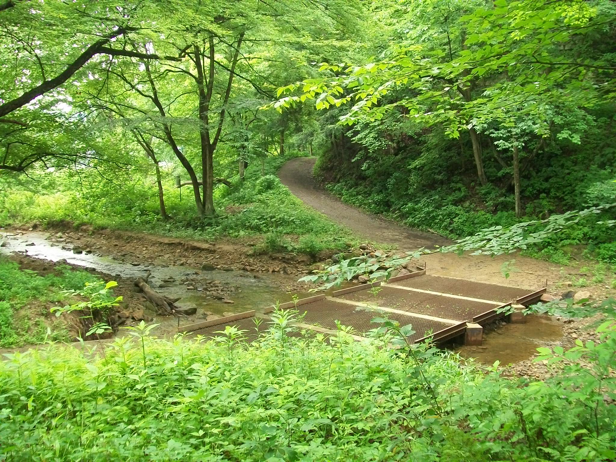 Clear Creek State Forest