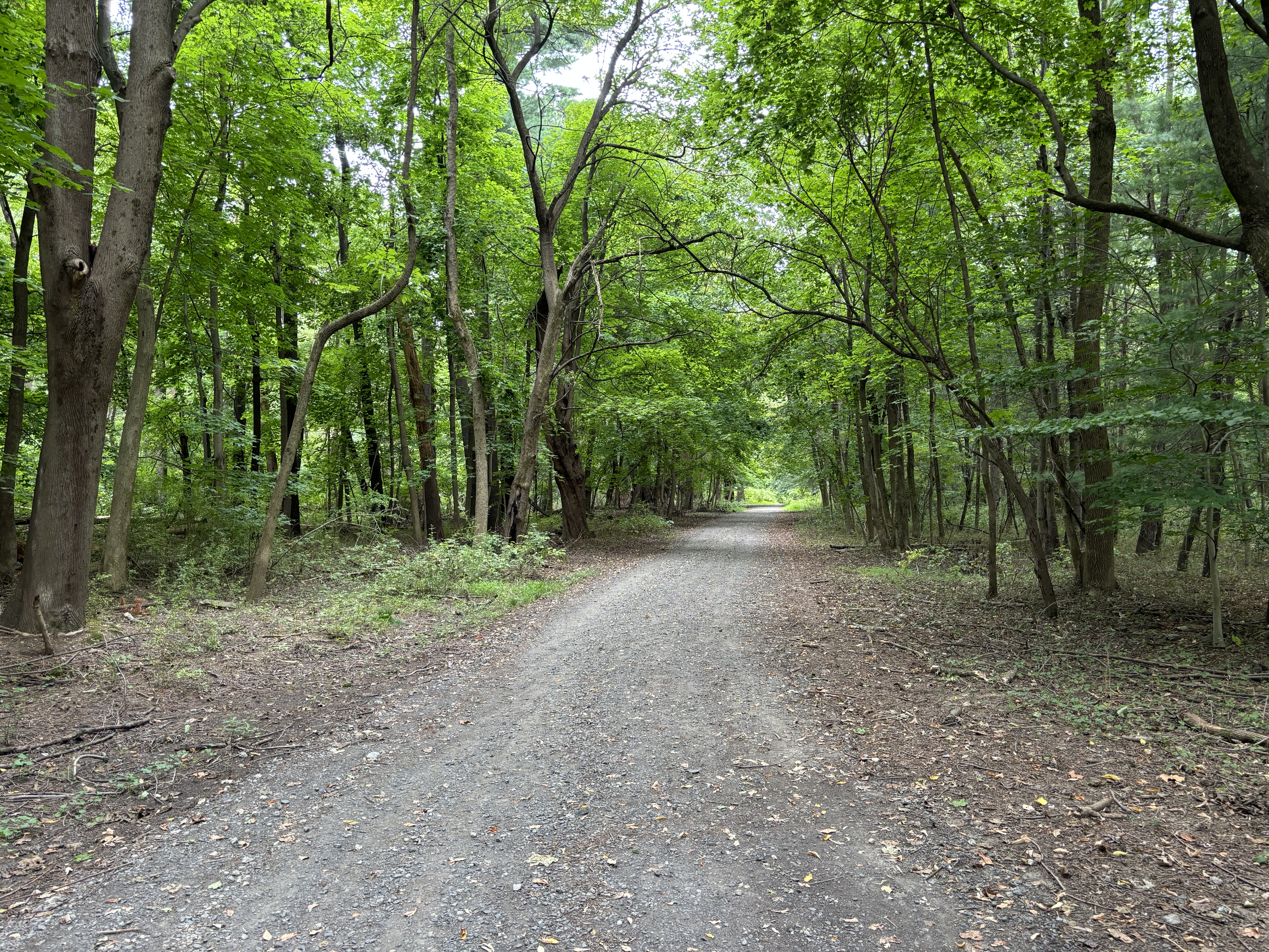 Neshaminy State Park