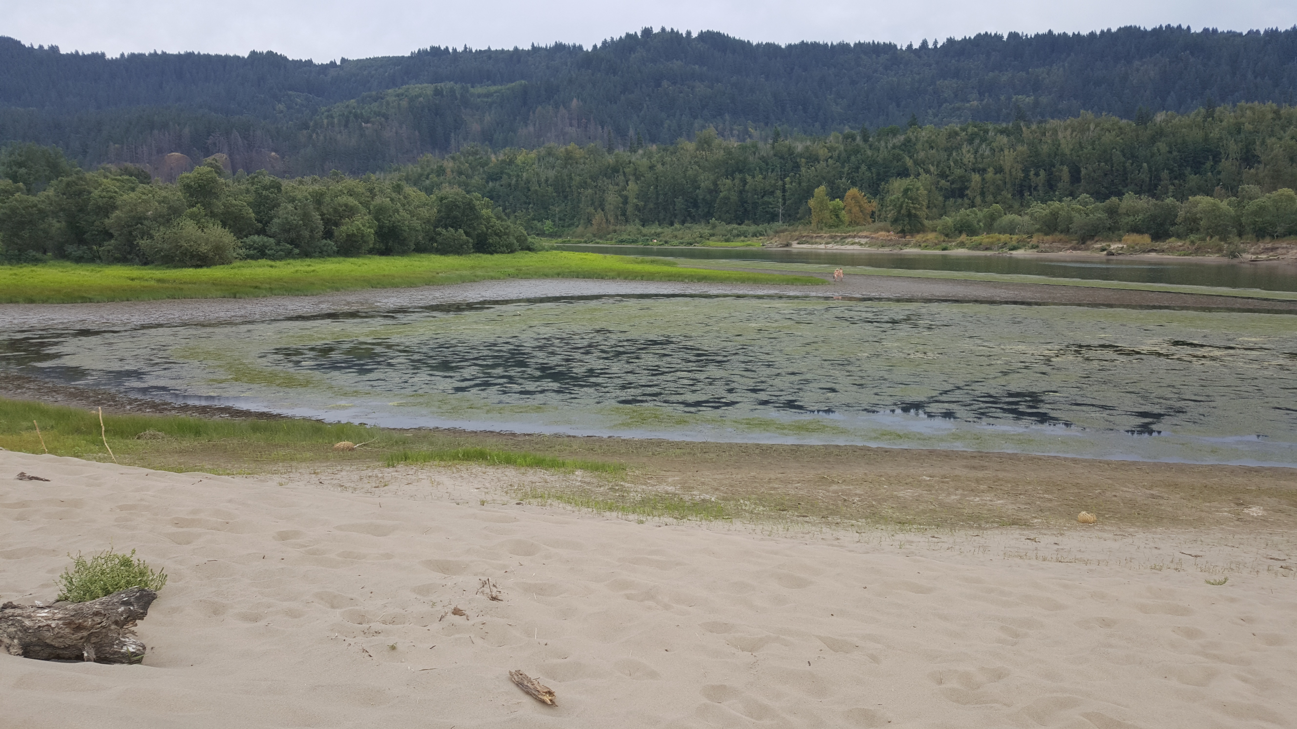 Rooster Rock State Park