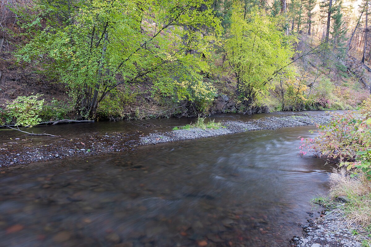 South Fork Campground