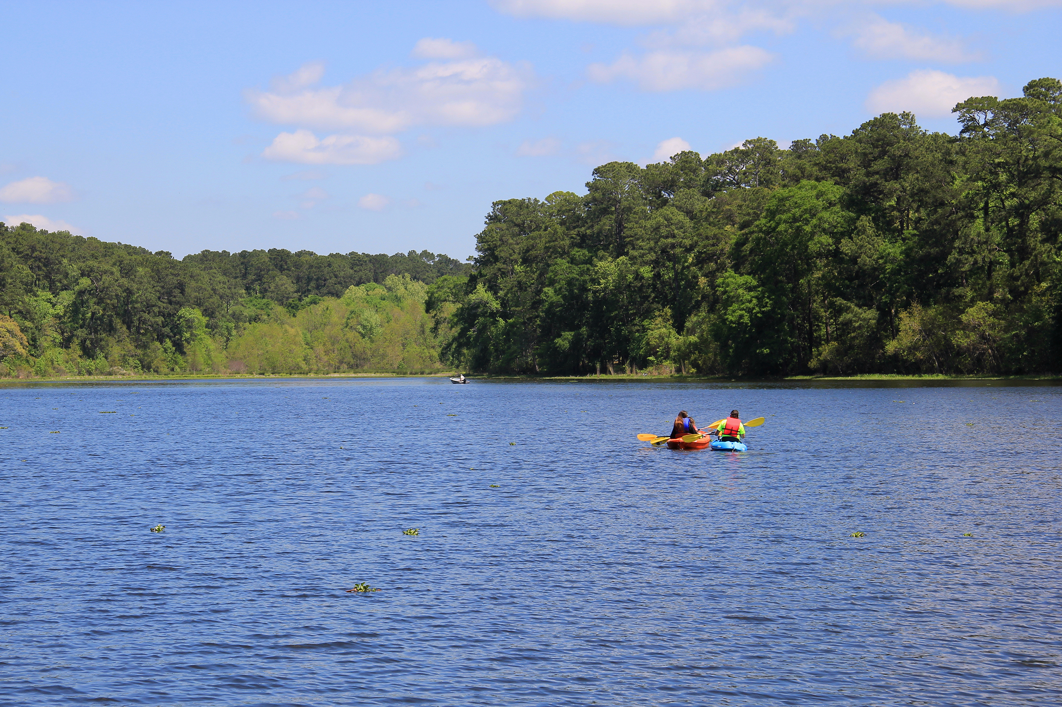 Huntsville State Park