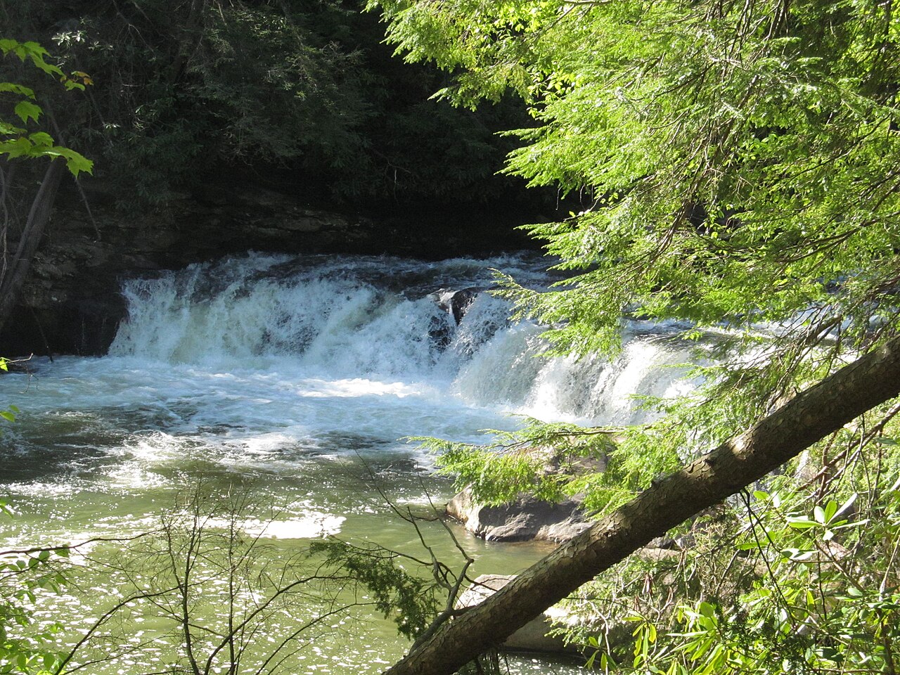 Swallow Falls State Park