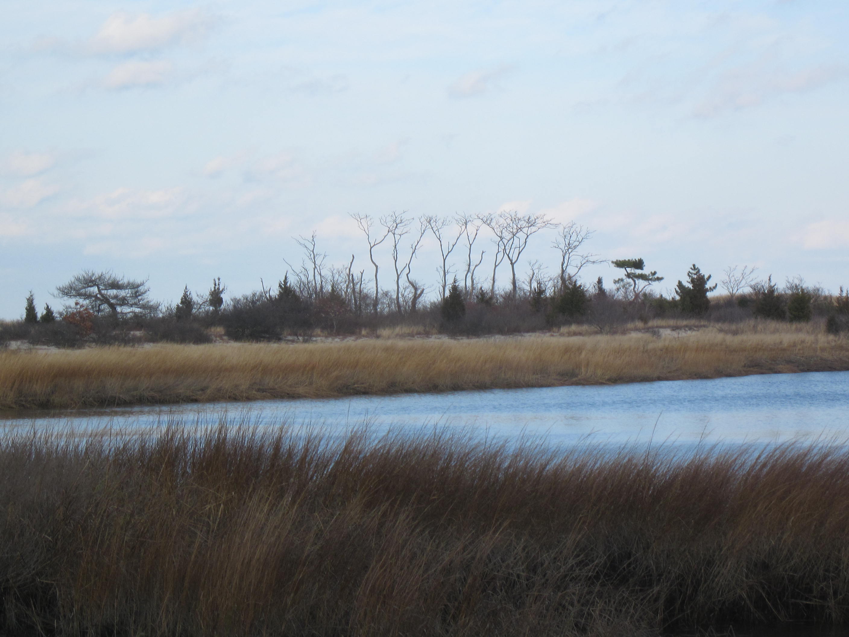Sunken Meadow State Park