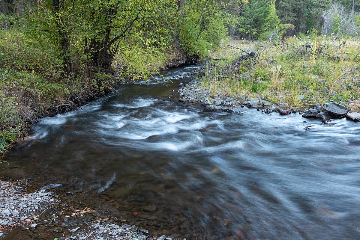 South Fork Campground