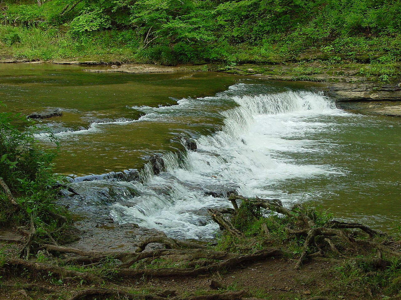 David Crockett State Park