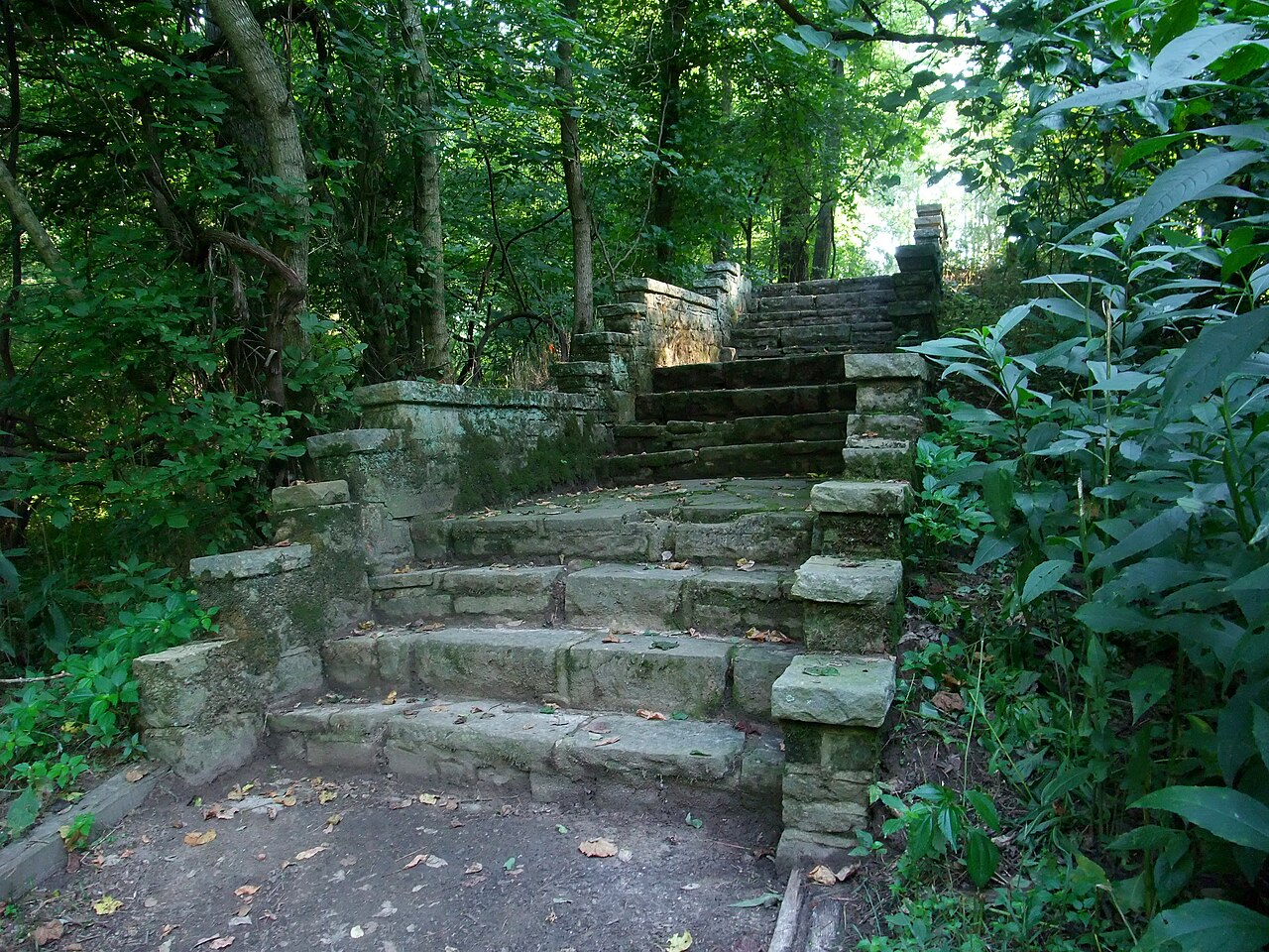 Wikimedia Commons