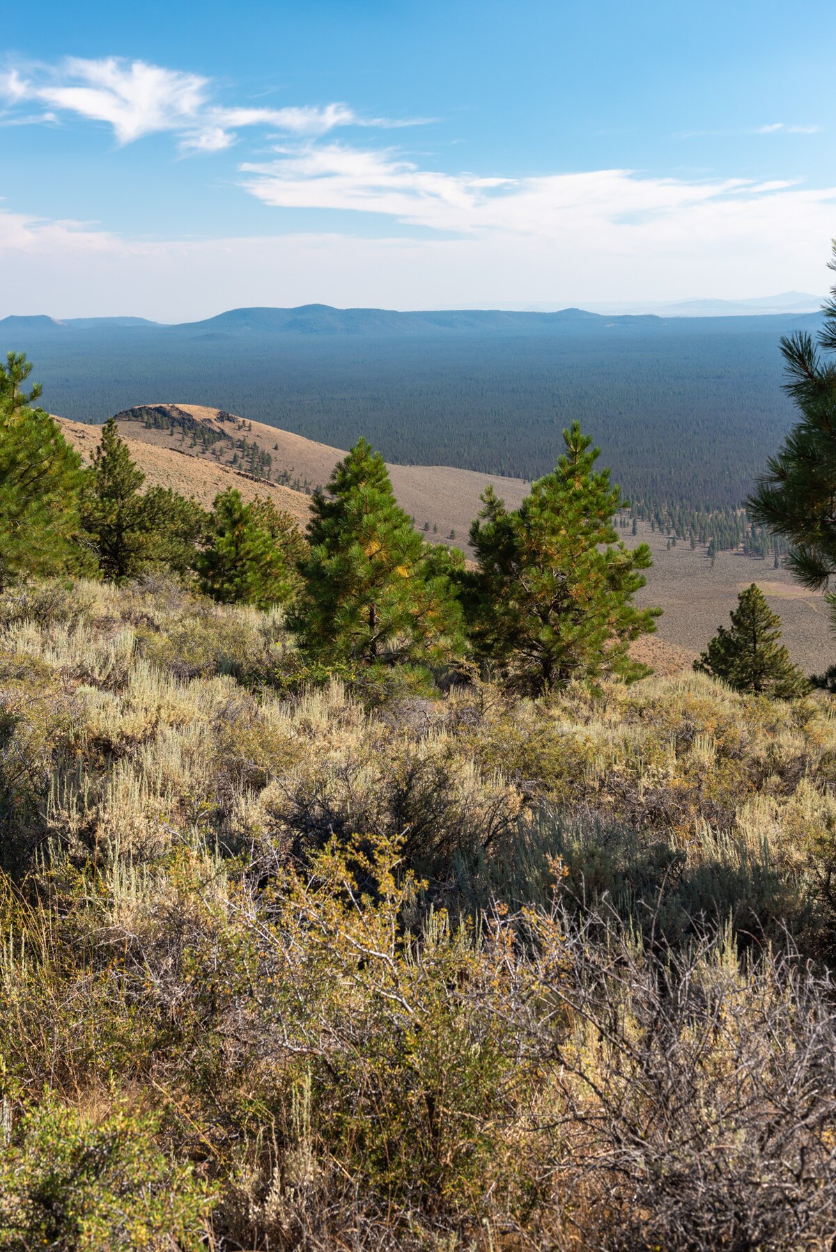Pine Mountain Campground