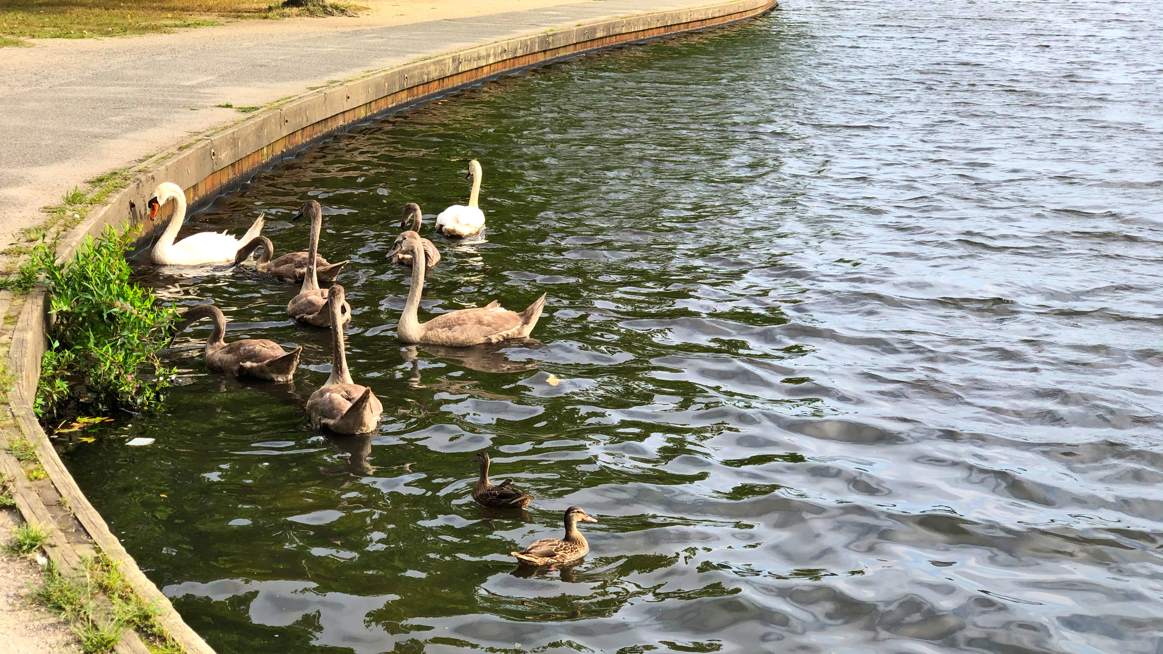 Belmont Lake State Park
