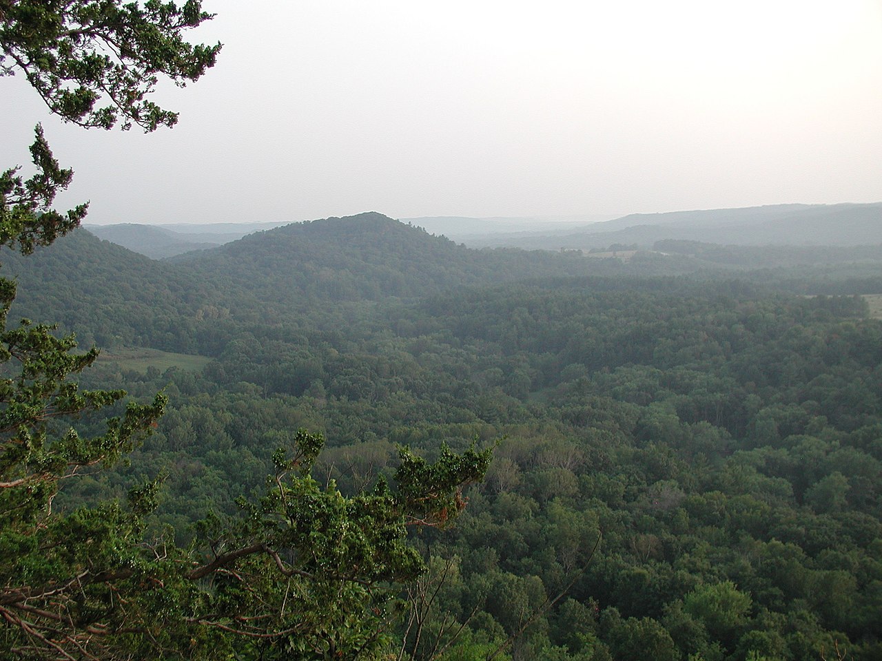 Wikimedia Commons