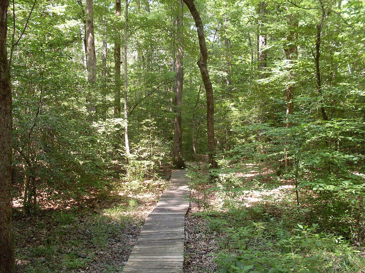 White Oak Lake Campground