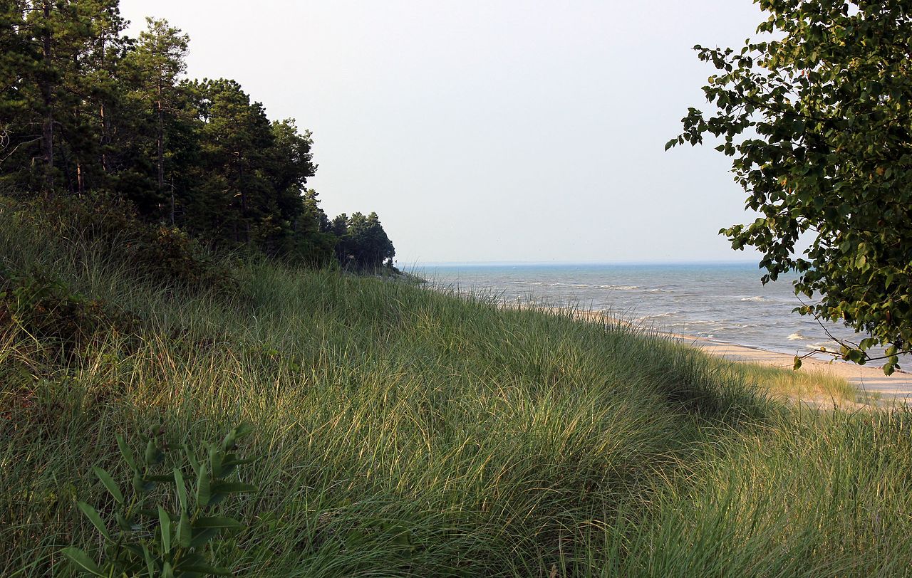 Point Beach State Forest