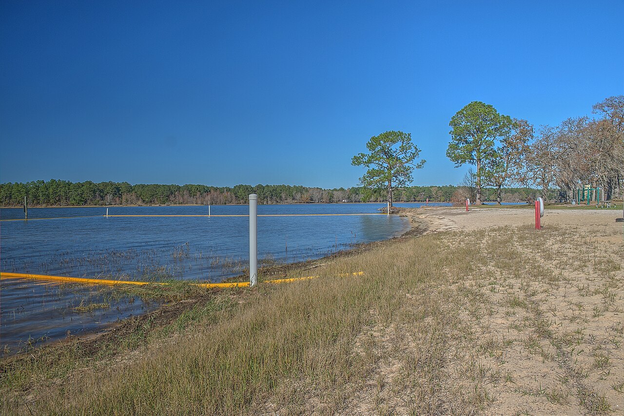 Bluff Creek