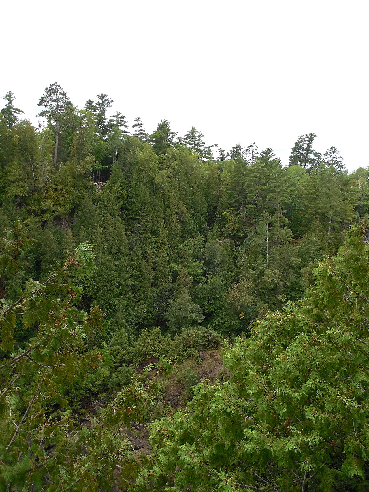 Wikimedia Commons