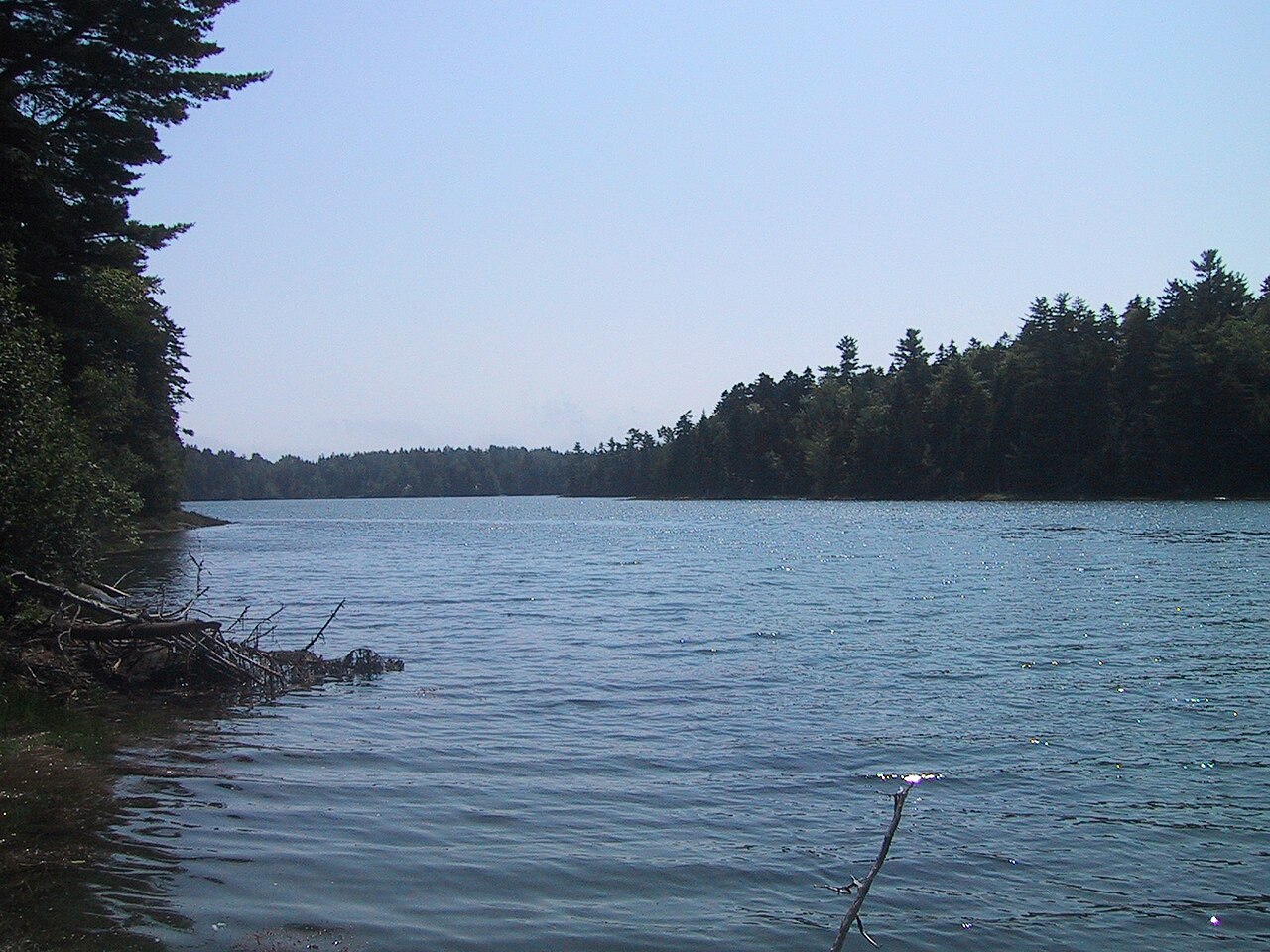 Cobscook Bay Campground