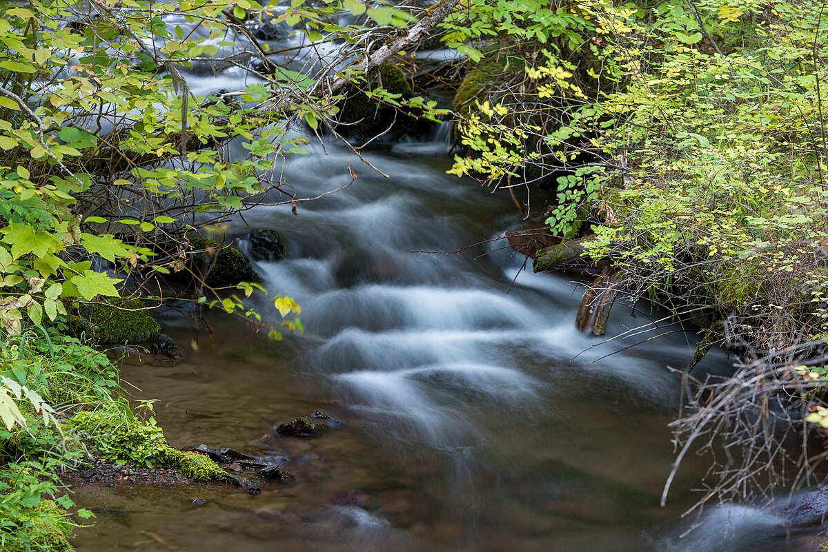 Trout Farm Campground