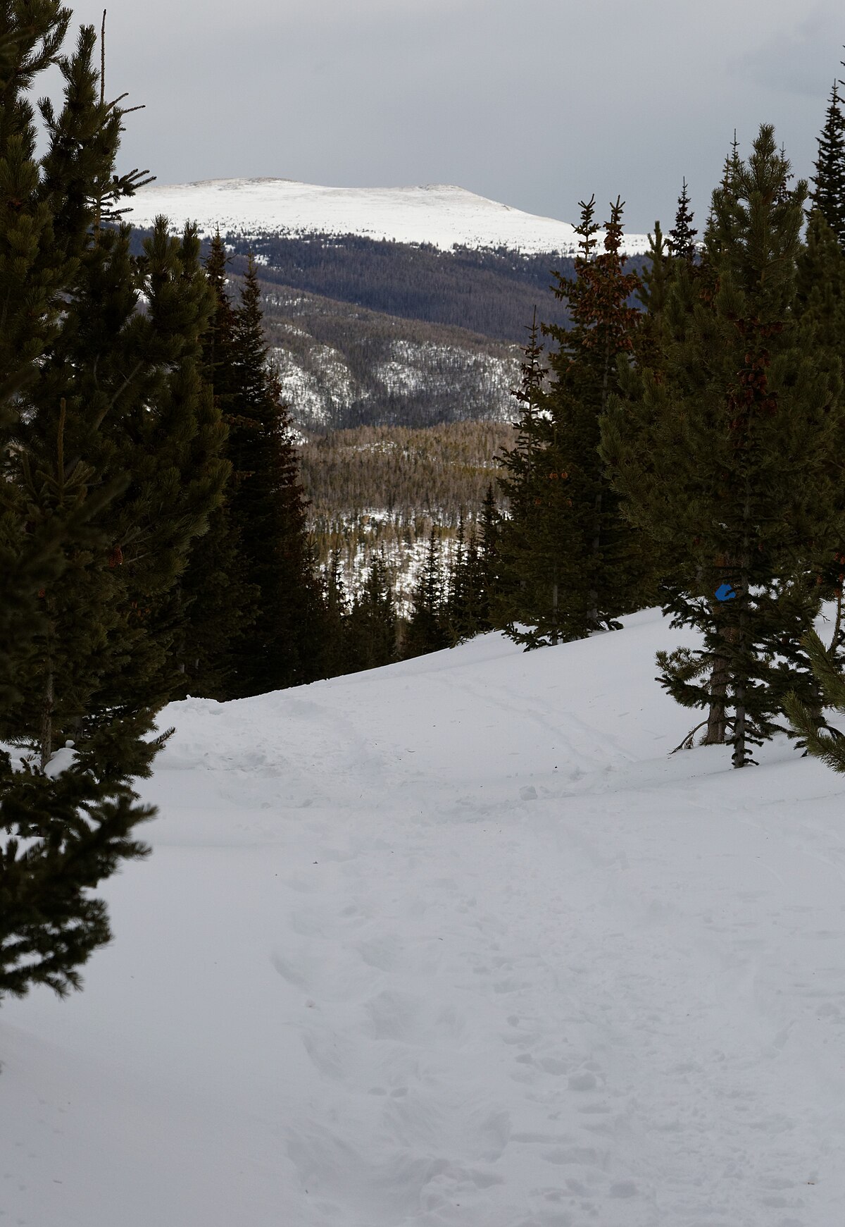 Sawmill Creek Campground