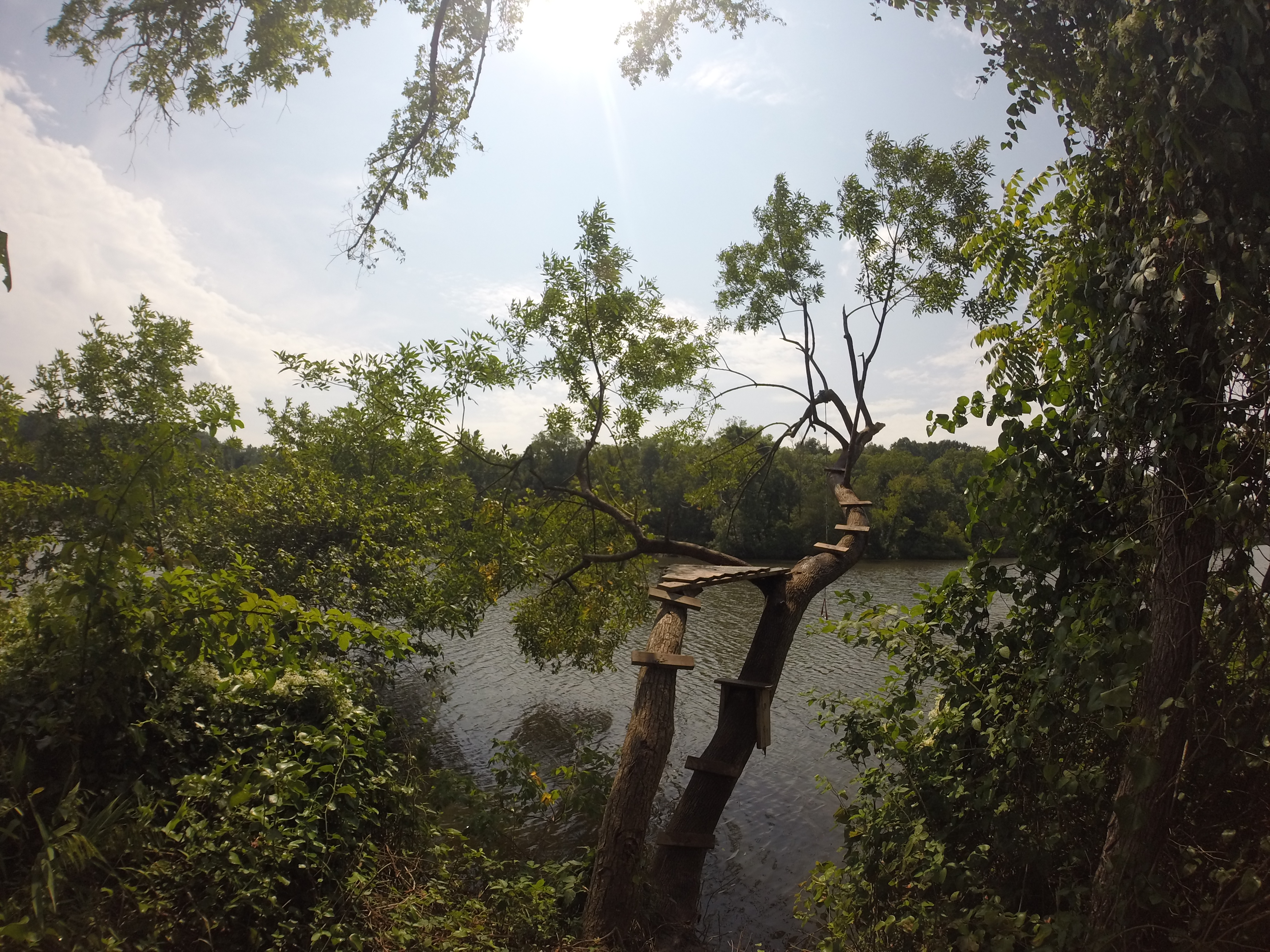 Haw River State Park