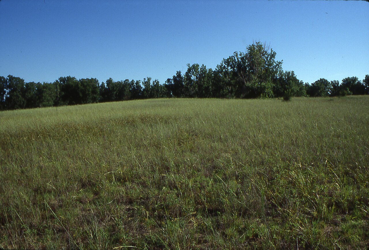 Wakonda Lake Campground