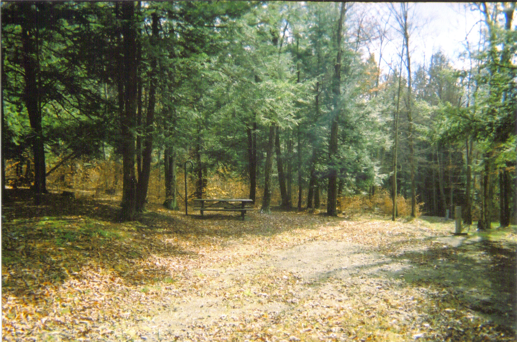 Lyman Run State Park