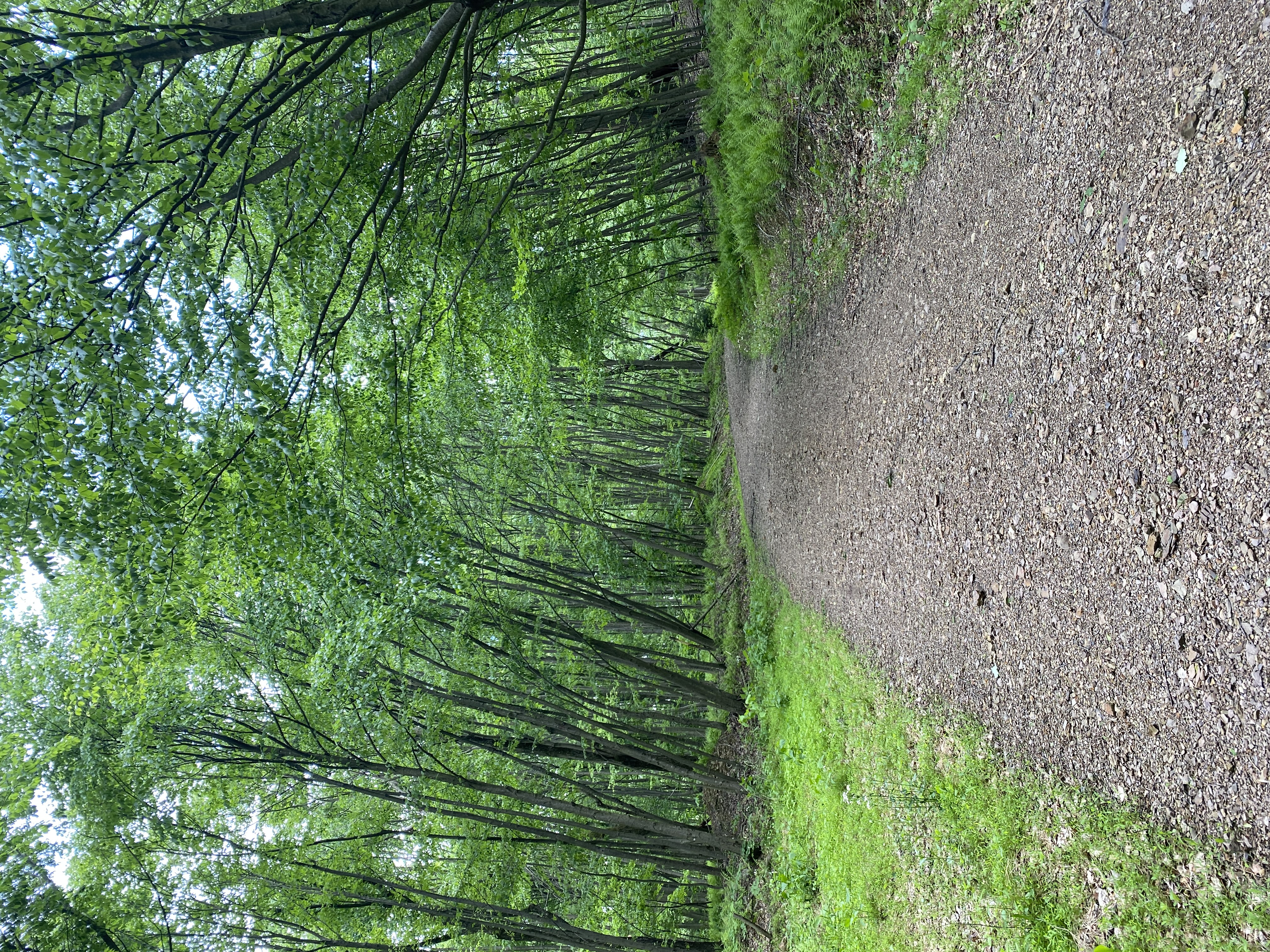 Fowlers Hollow State Park
