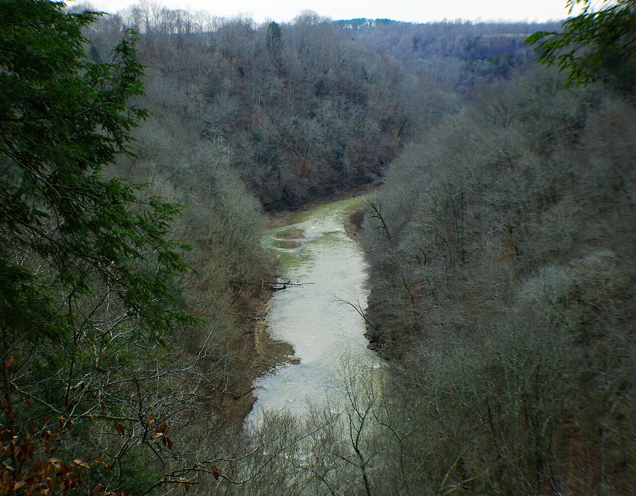 Ragland Bottom