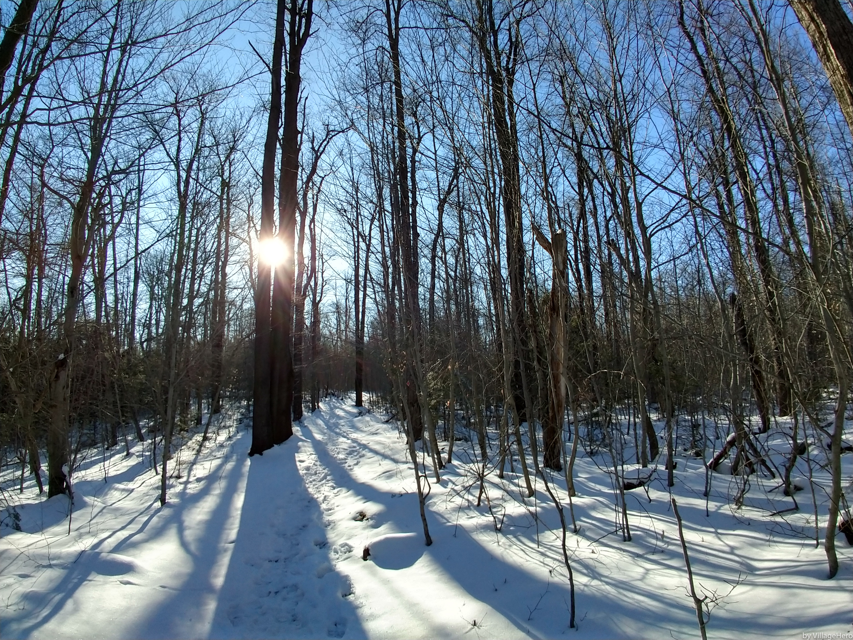 Ricketts Glen State Park