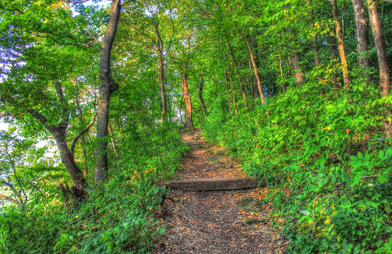 Wyalusing State Park