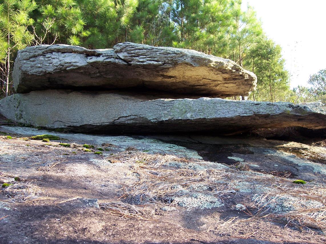 Panola Mountain State Park