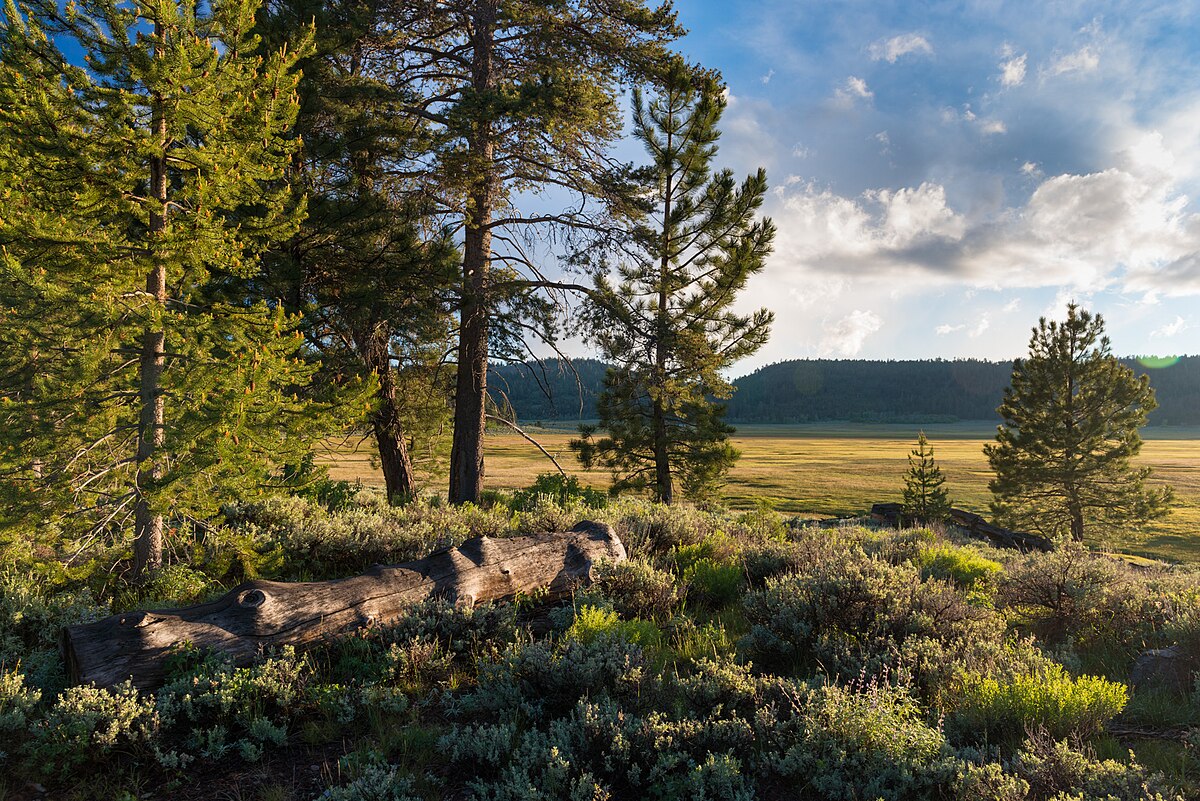 Mud Creek Campground