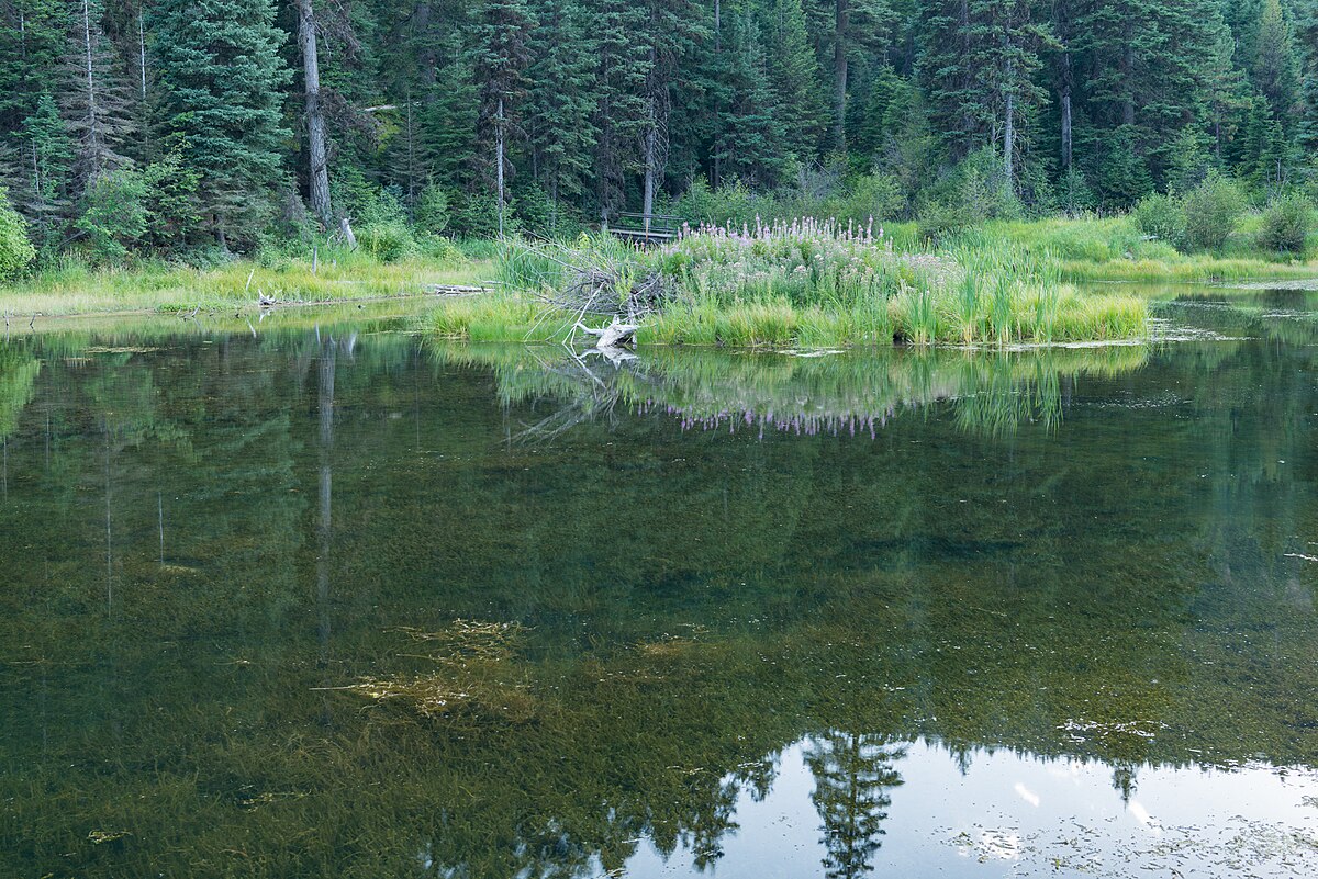 Trout Farm Campground
