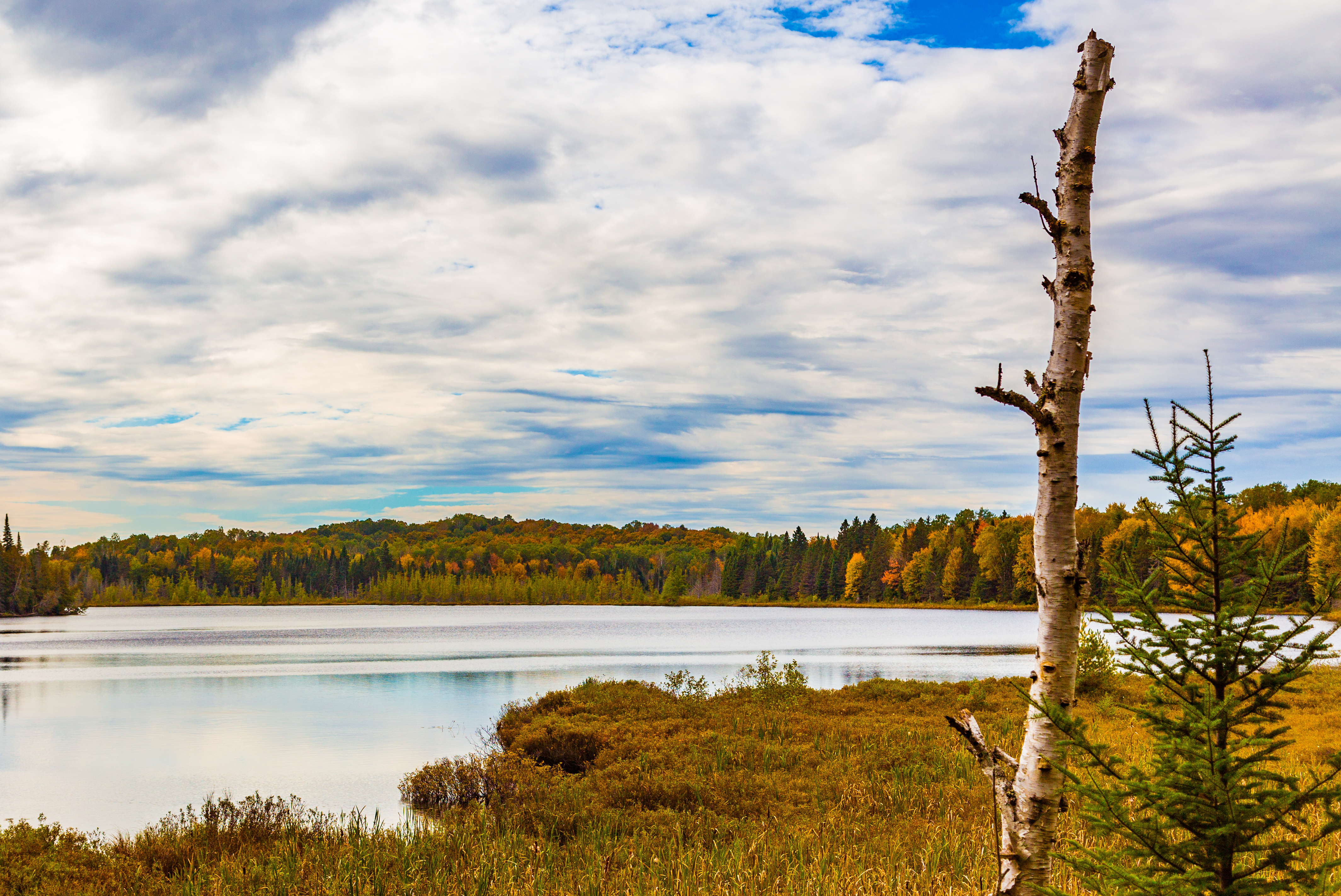 Imp Lake Campground