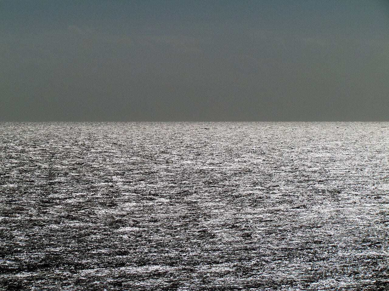 Wikimedia Commons