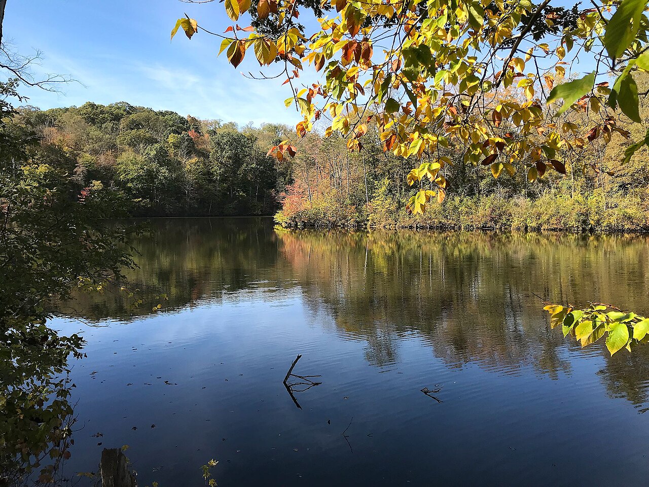 Forked Run Group Campground