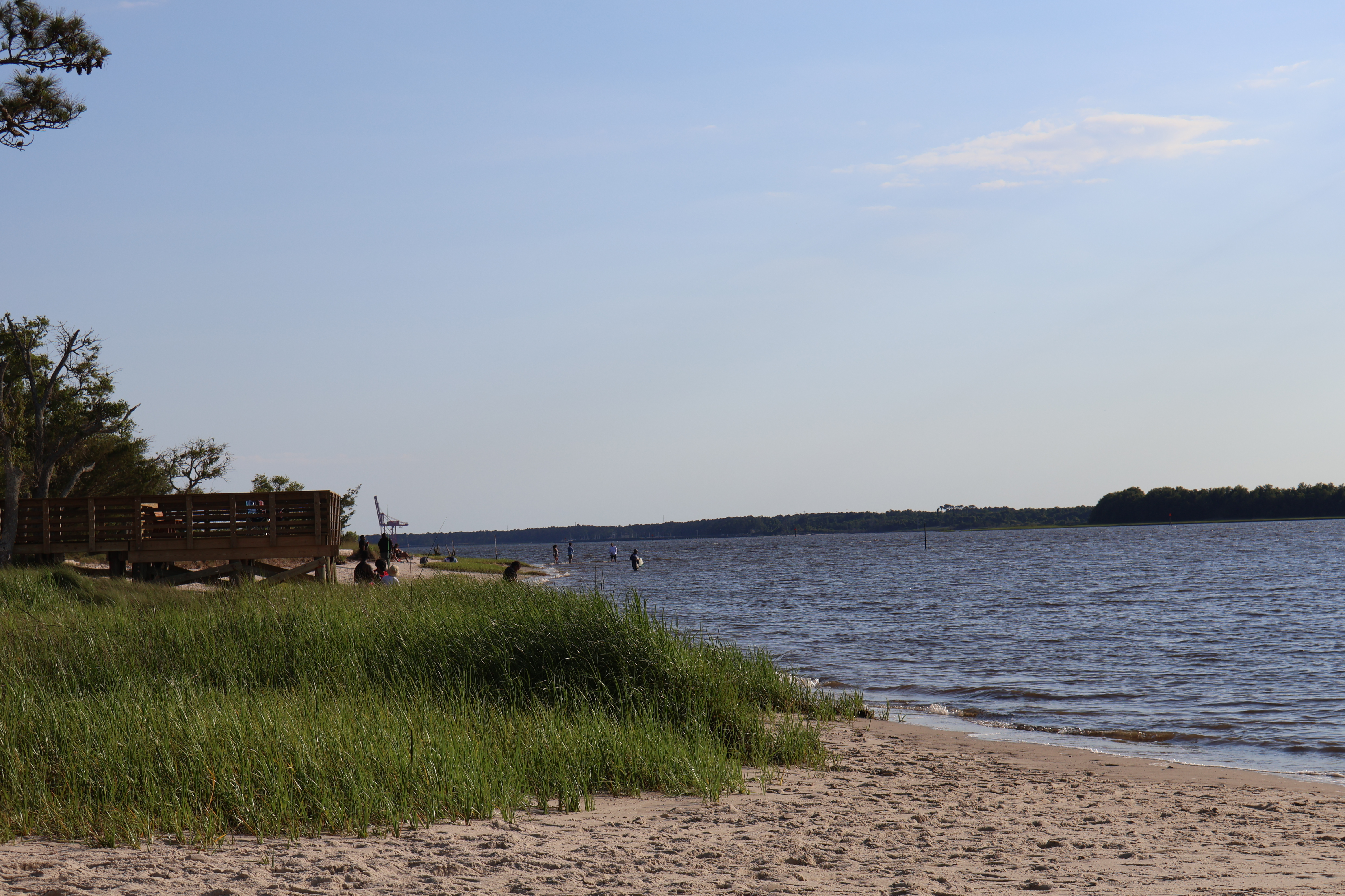 Carolina Beach State Park