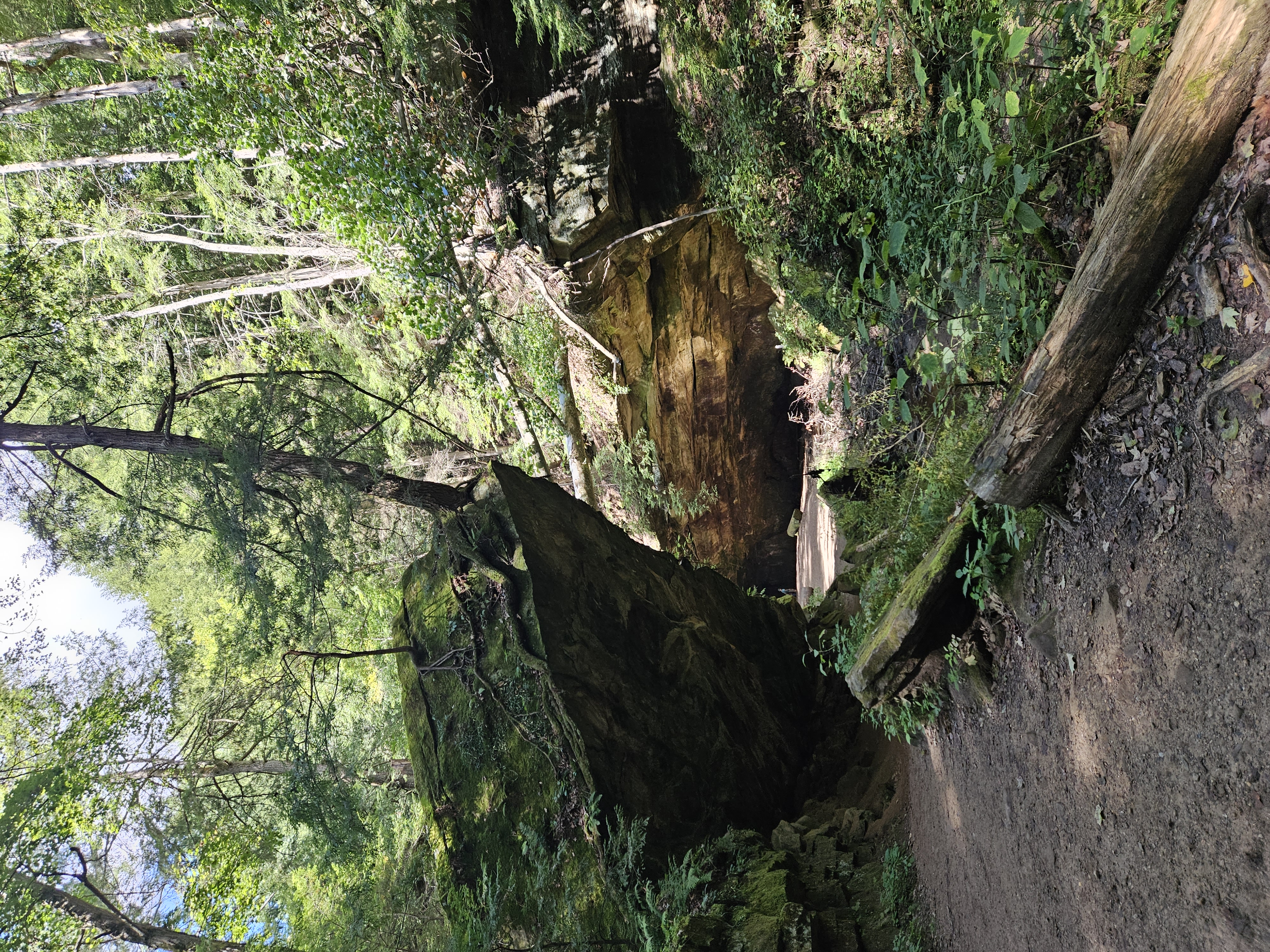 Turkey Run State Park