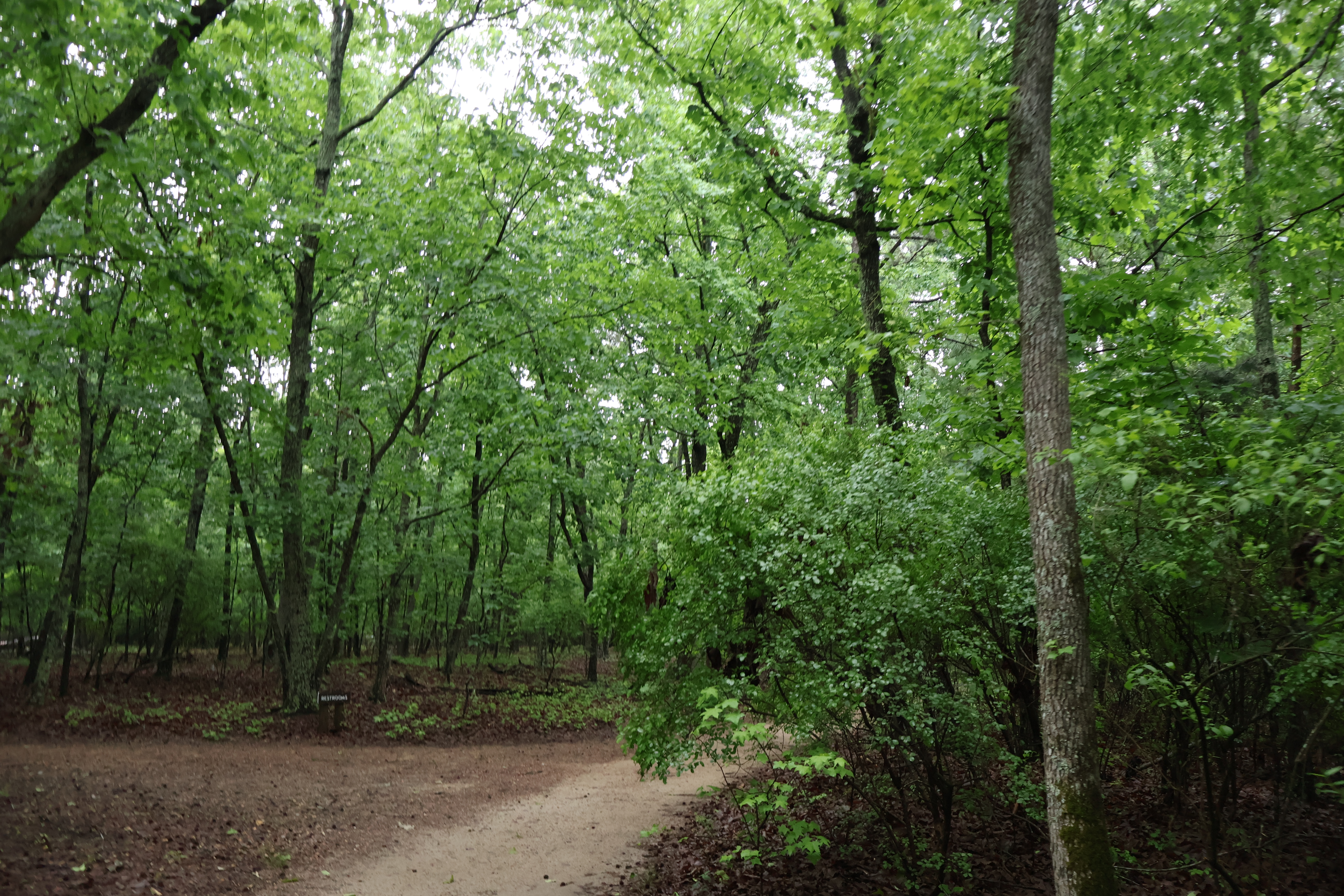 Raven Rock State Park