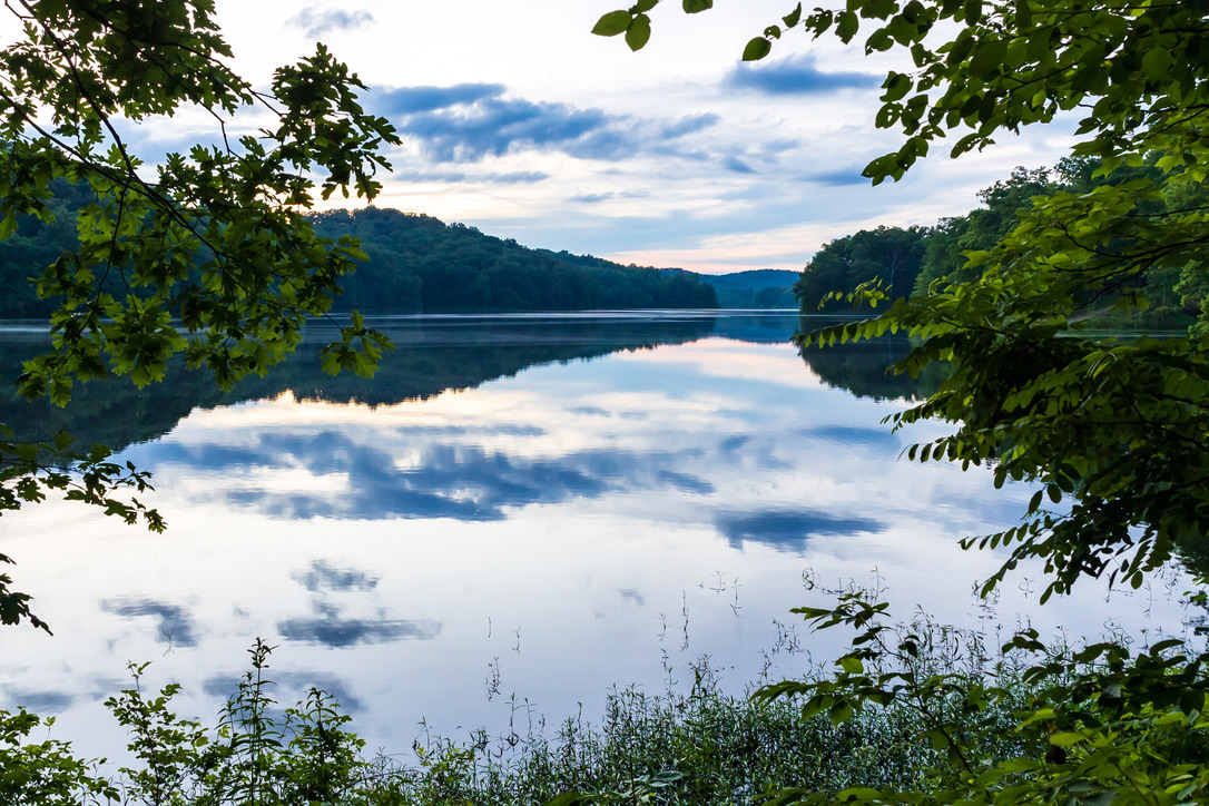 Yellowwood State Forest