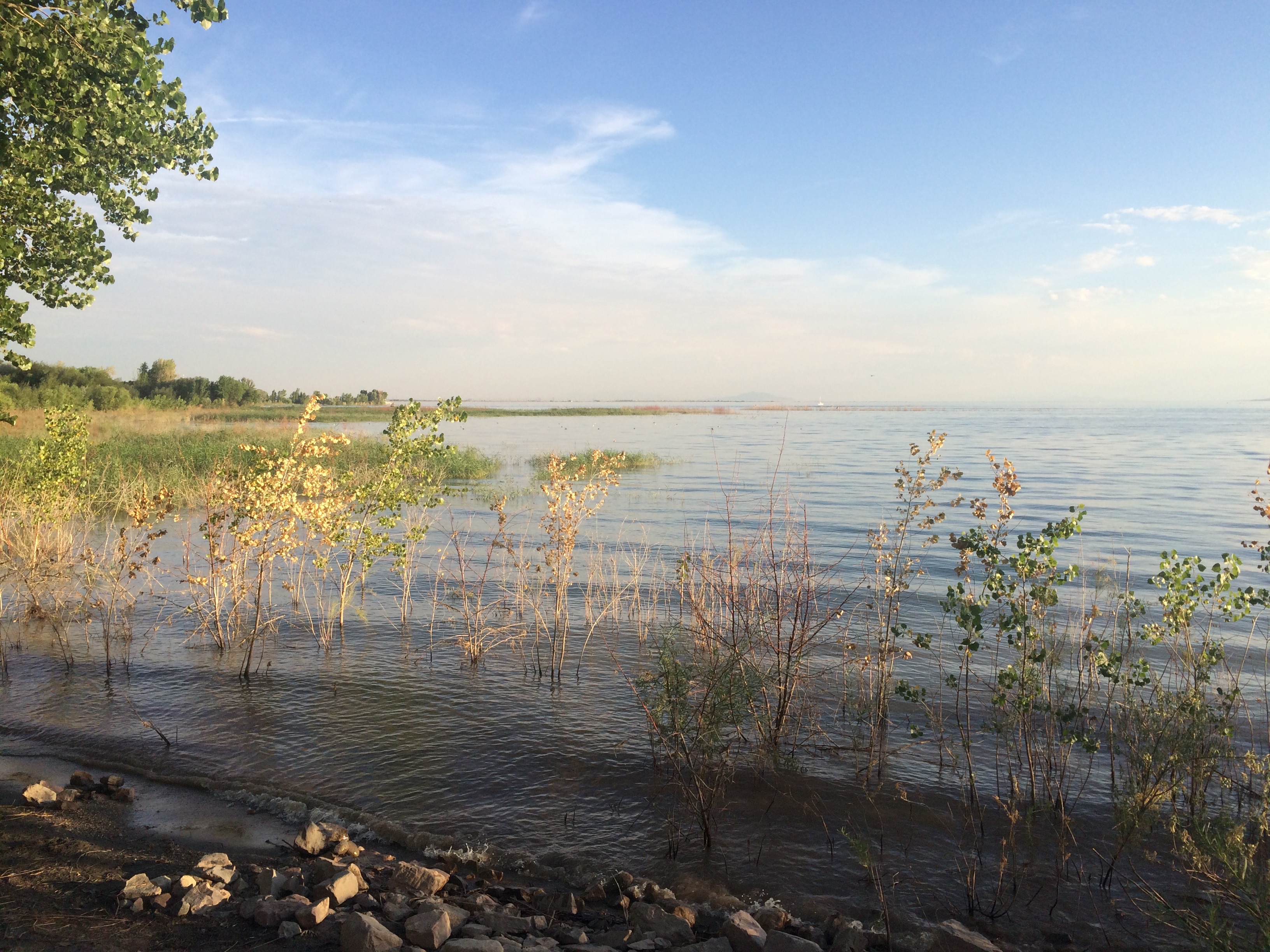 Willard Bay State Park