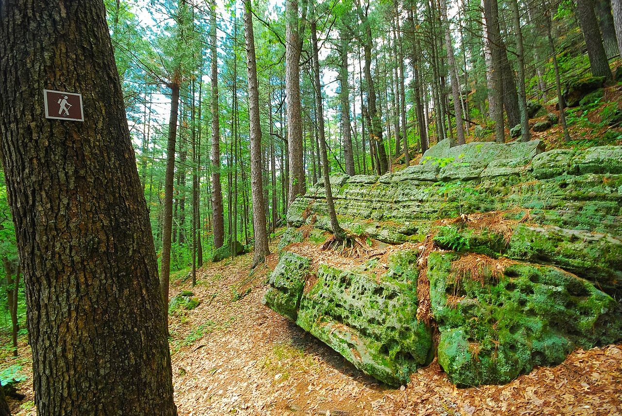 Black River State Forest