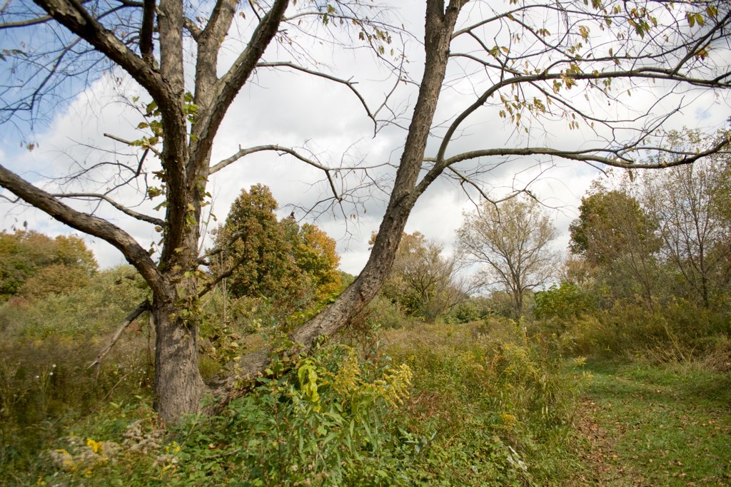 The Nature Inn At Bald Eagle