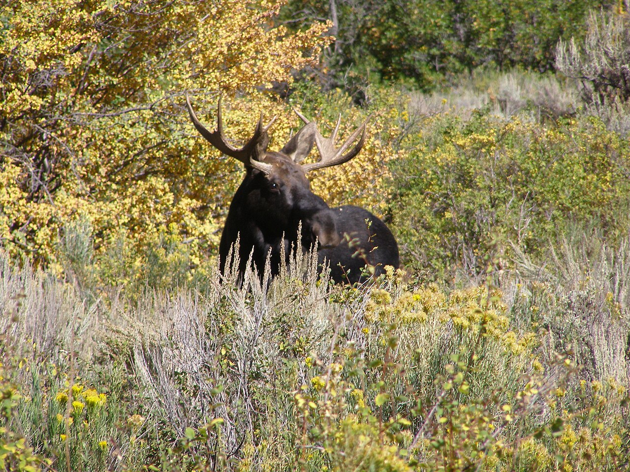 Fish Creek Campground