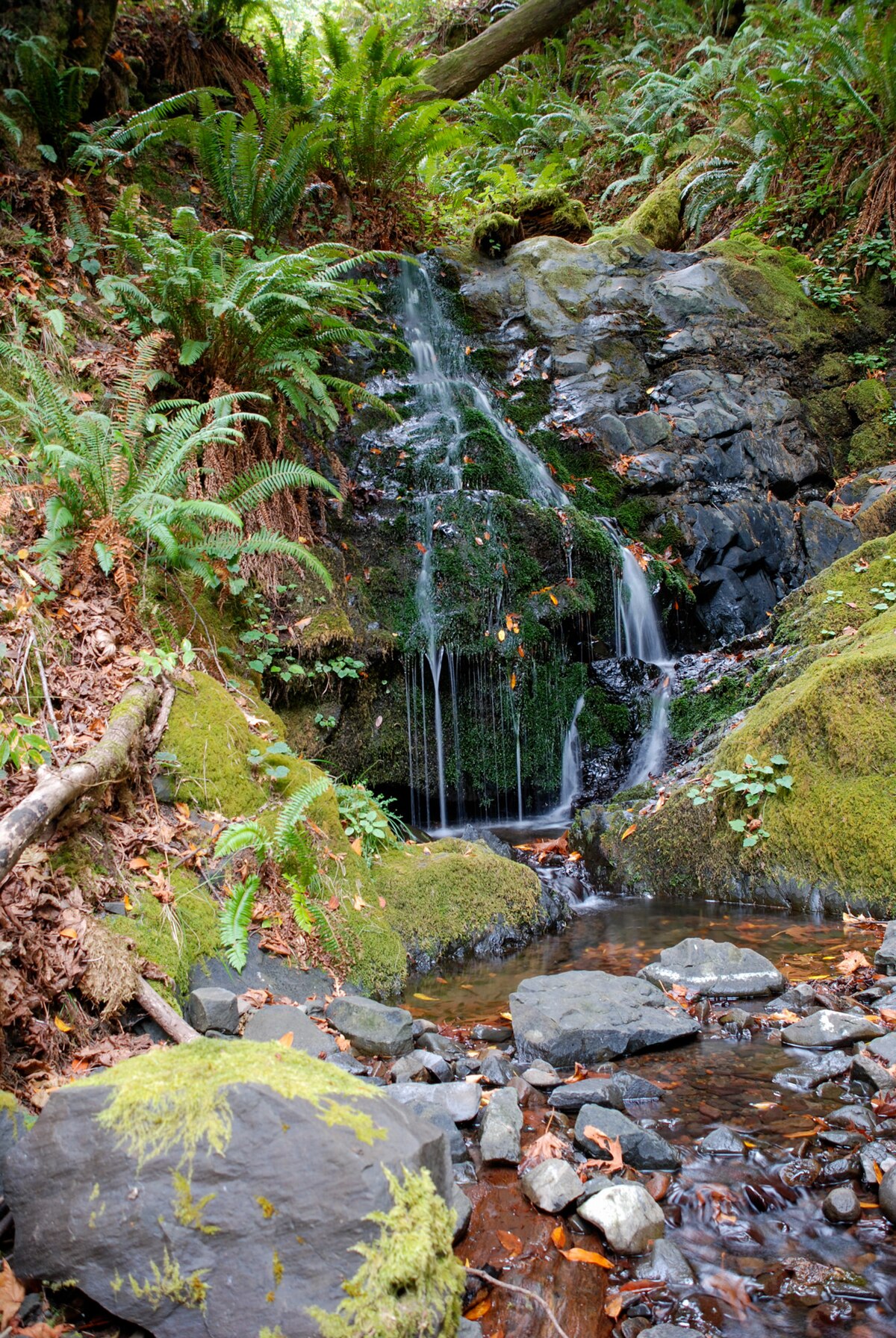 Lobster Creek Campground